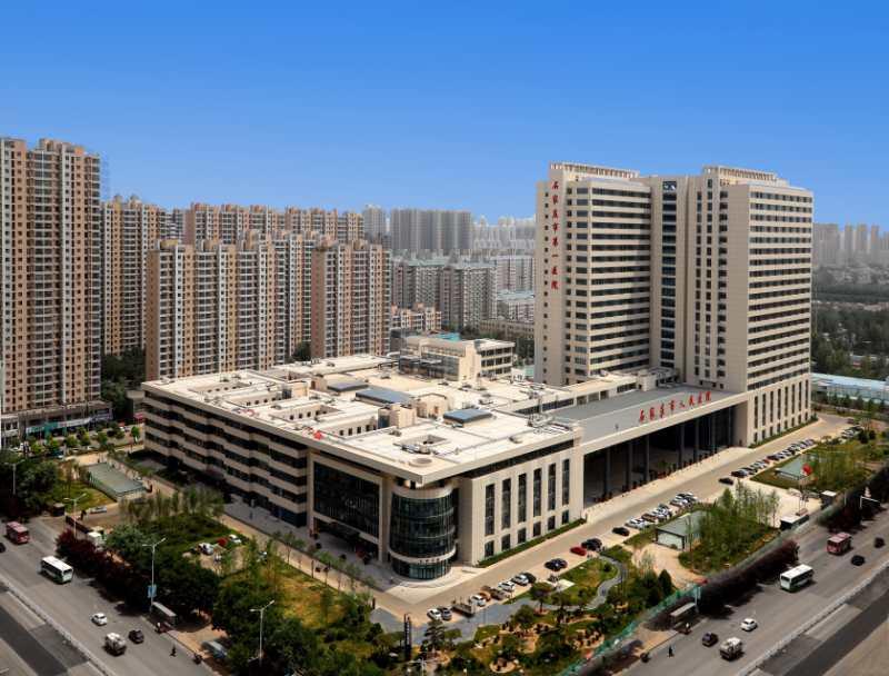 石家庄之行，大学生活的深度体验与感悟启示