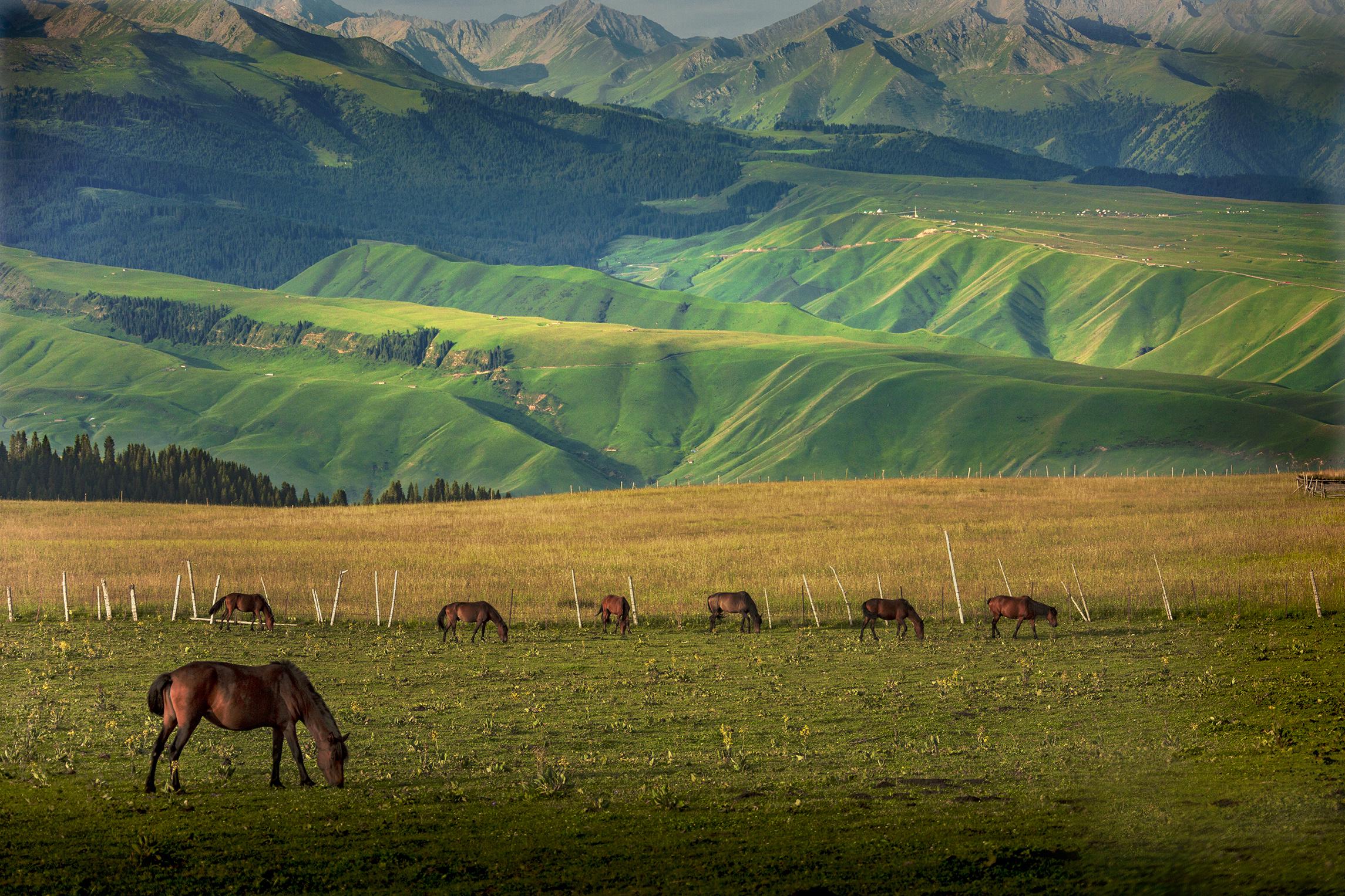梦幻西域新疆，魅力无限之旅